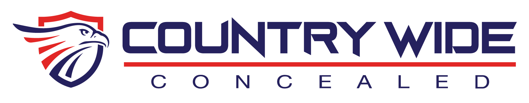 ccw permit course